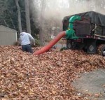 leaf-cleanup-removal